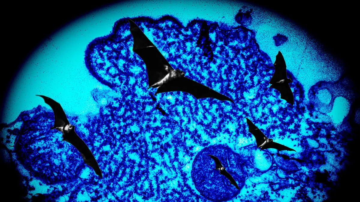 Nipah virus: Understanding the : A Persistent Threat in Kerala