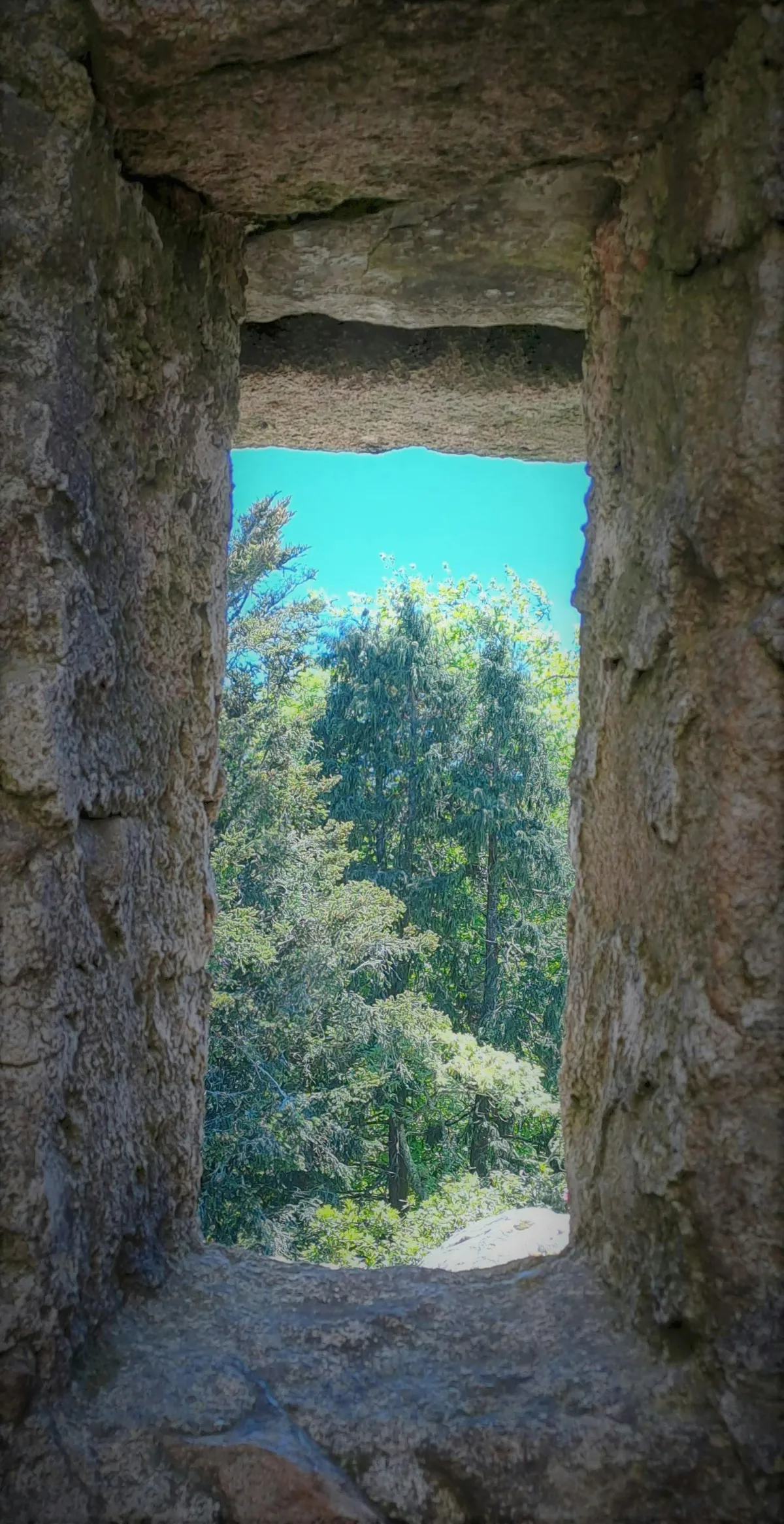 Pathirana: Matheesha ‘s Fitness: A Waiting Game for KKR